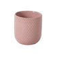 Everly Pot