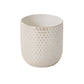 Everly Pot