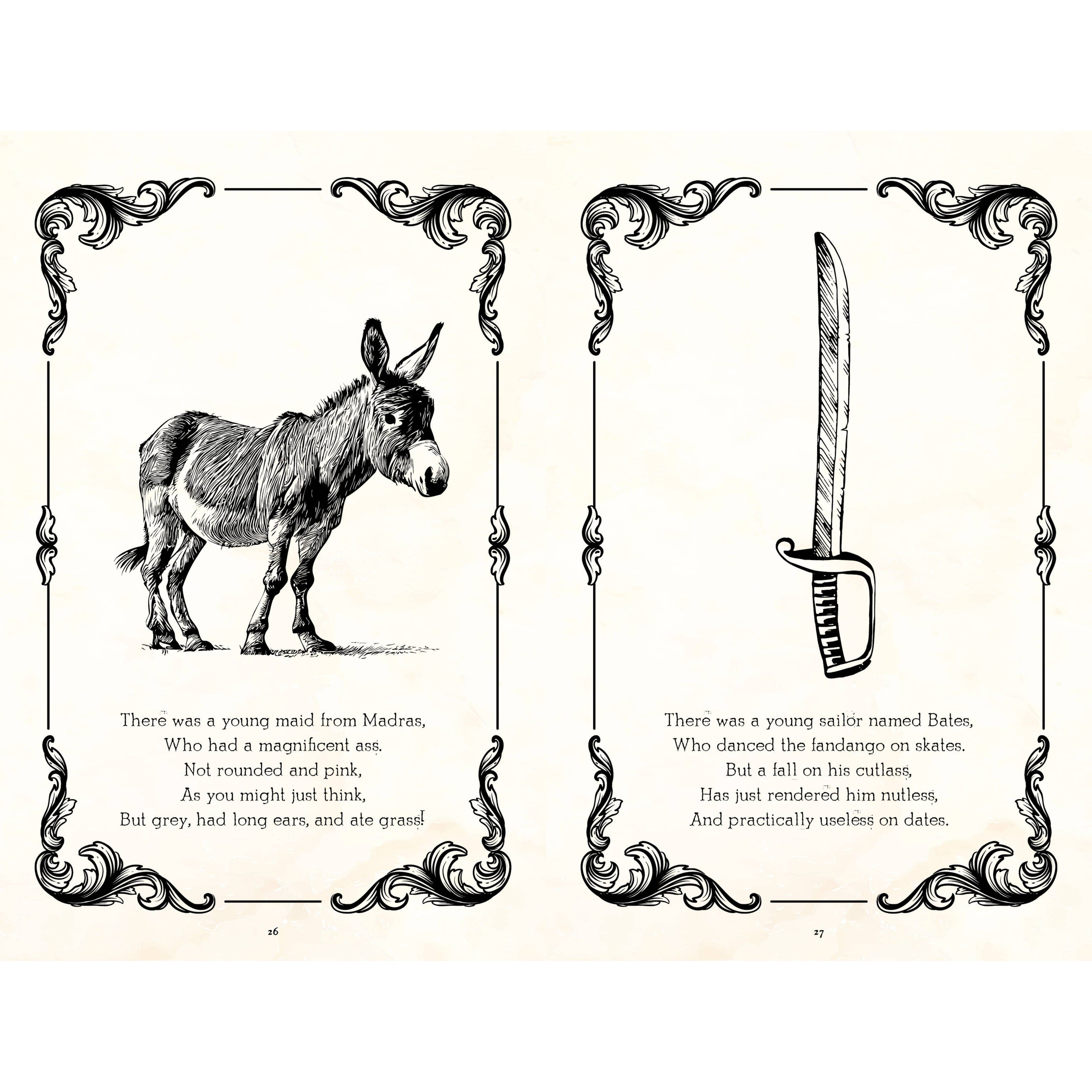 Rude Limericks Humor Gift Book