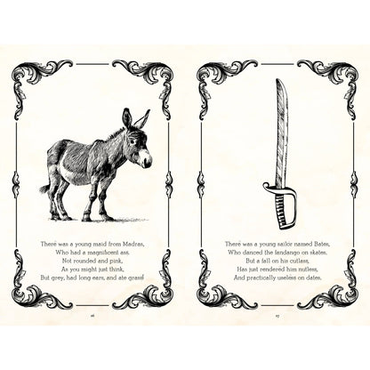 Rude Limericks Humor Gift Book