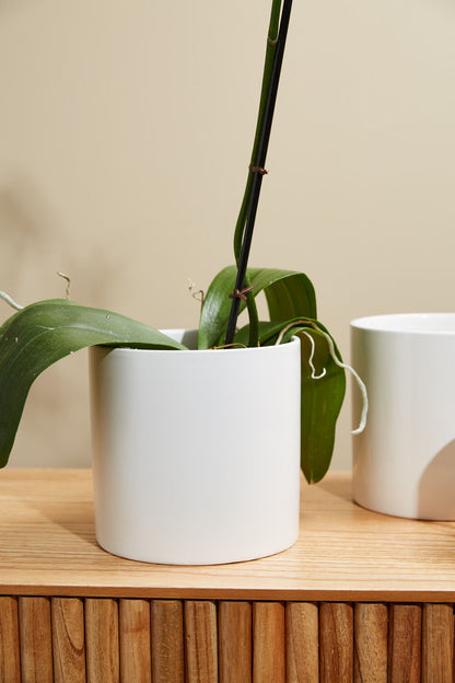 Cercle Pot