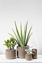 Habitat Pot