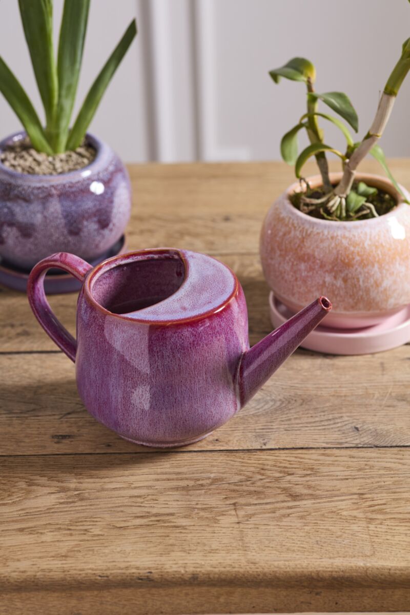 Veronica Watering Can