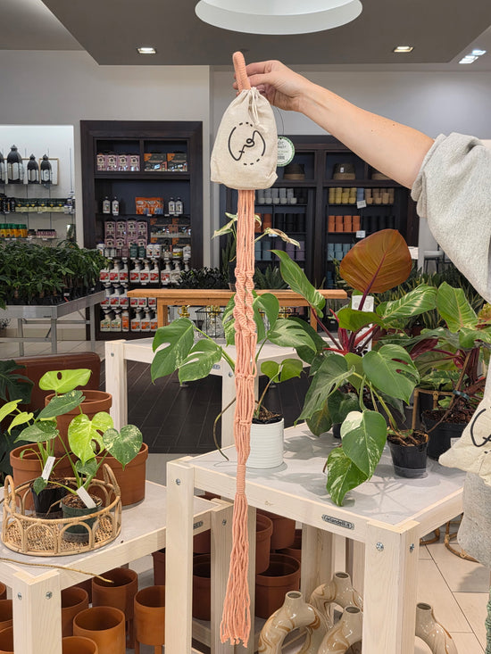 LITF Macrame Hanger
