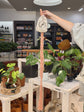 LITF Macrame Hanger