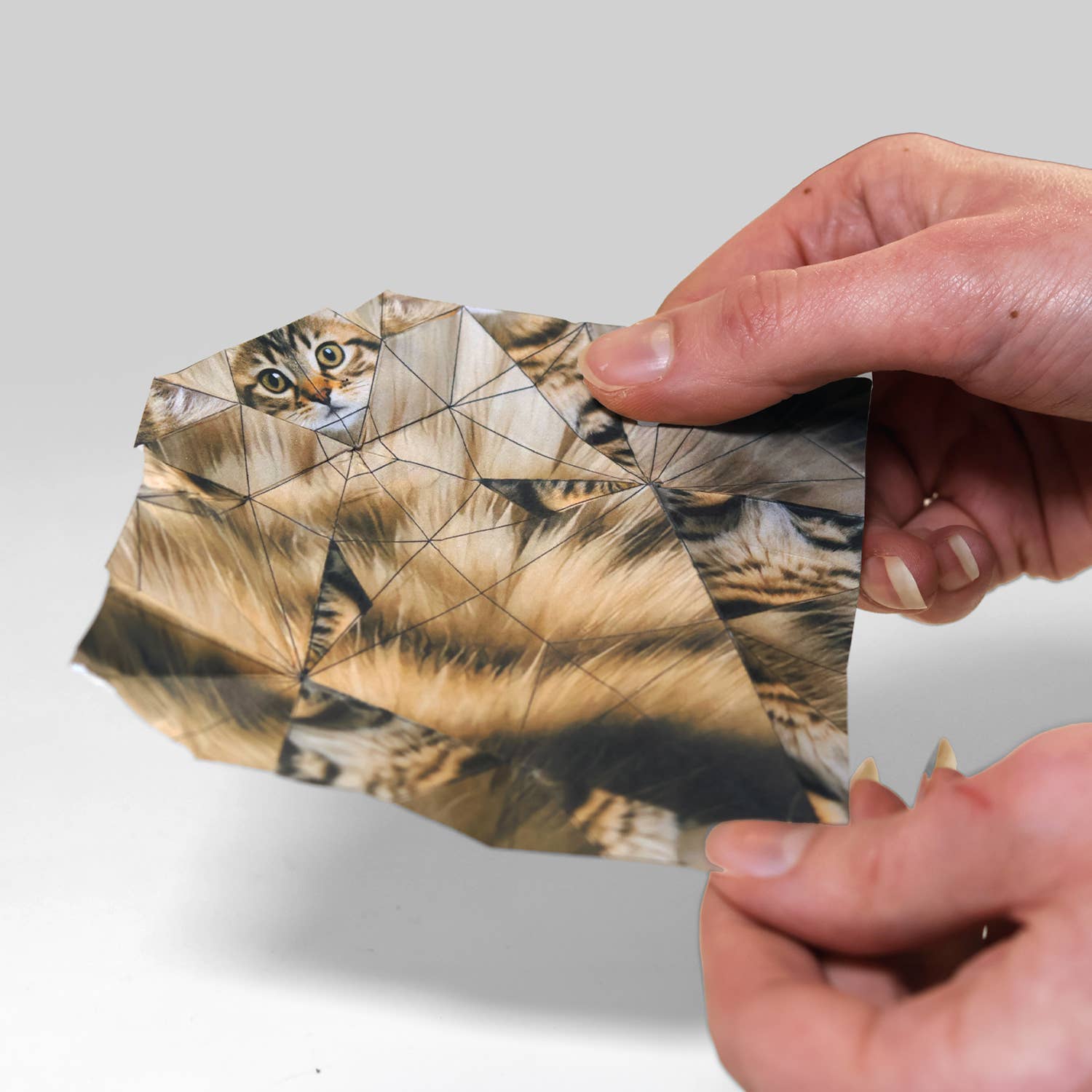 Paper Cats | DIY Origami Kit
