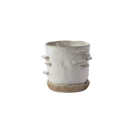 Stepped Mushroom Pot with Saucer