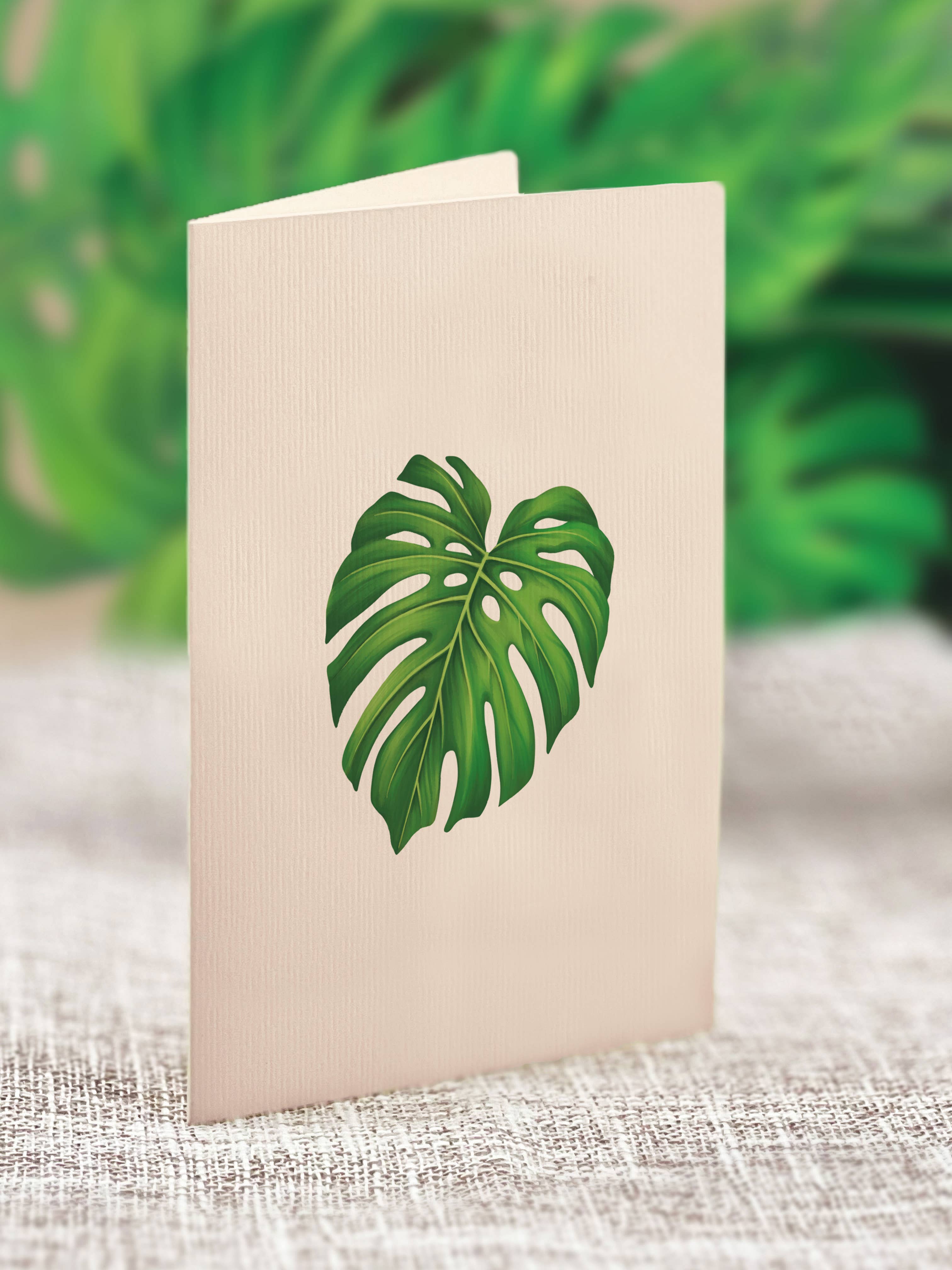 Mini Monstera Plant (10 Pop-up Greeting Cards)