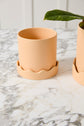 Pissaro Pot
