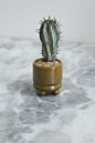 Ferris Footed Pot