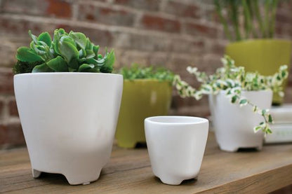 Ruth Pot