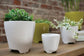 Ruth Pot