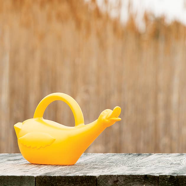 Lucky the Duck Plastic Watering Can
