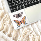 Clear Pink Swallowtail Butterfly Sticker