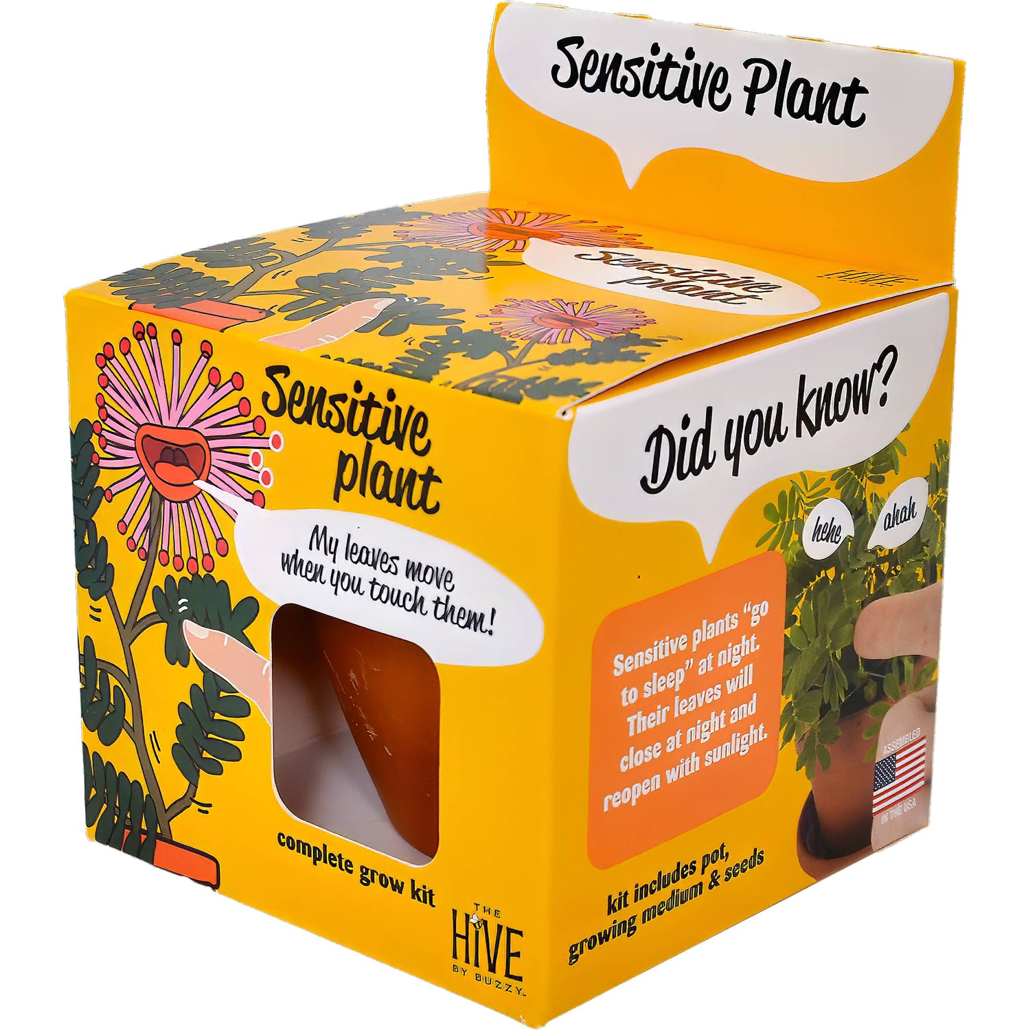 Sensitive Plant Grow Kit