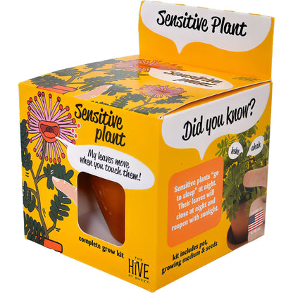Sensitive Plant Grow Kit