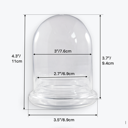 Medium Glass Dome