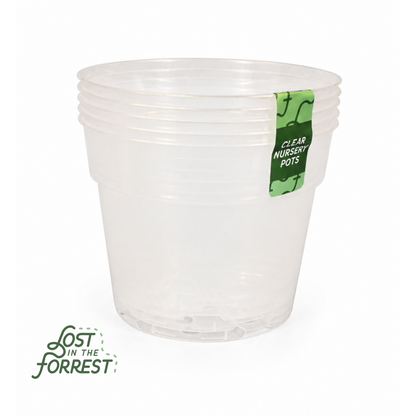 Clear Nursery Pots
