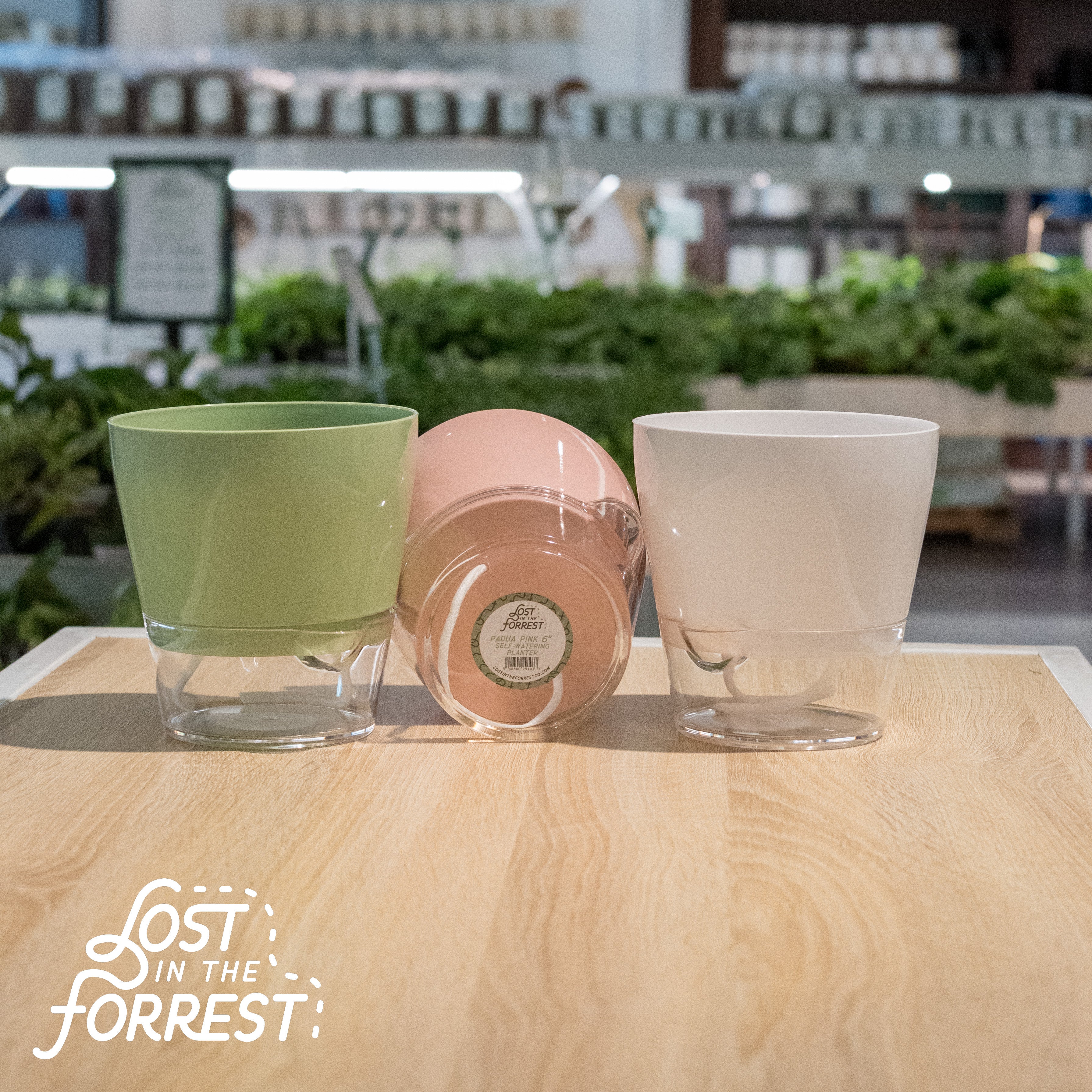 Padua Self-Watering Planter