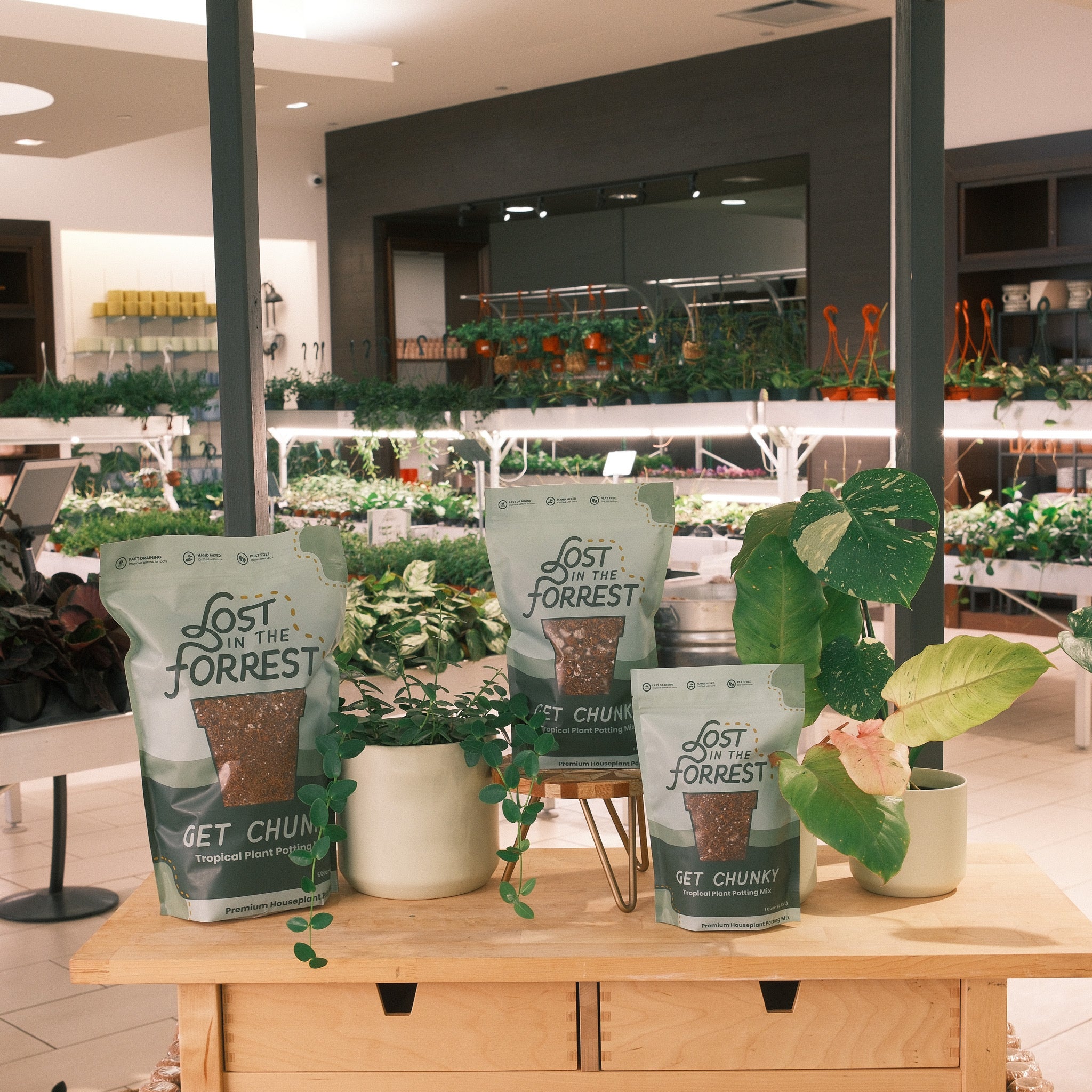 Get Chunky | Tropical Plant Potting Mix – Lost in the Forrest