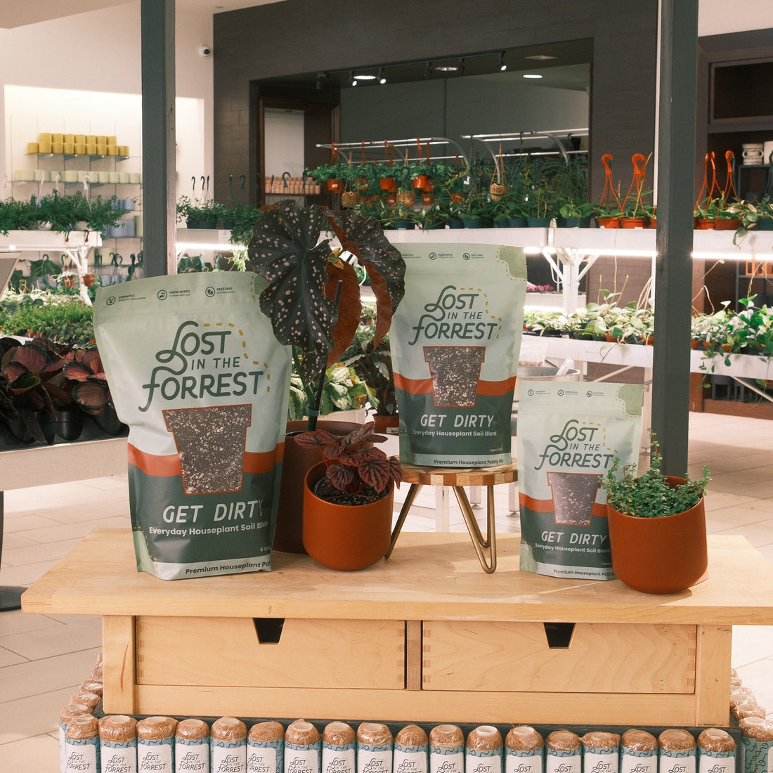 Get Dirty | Everyday Houseplant Soil Blend