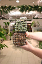 Lithop