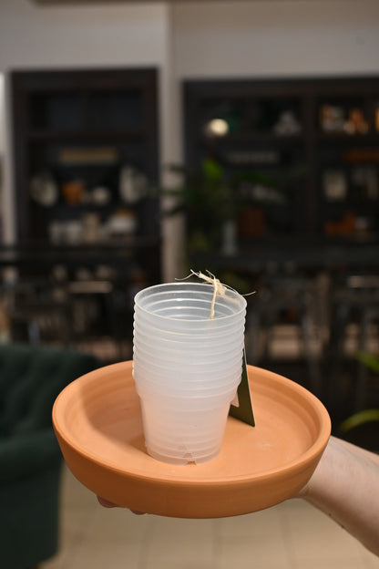 Clear Nursery Pots