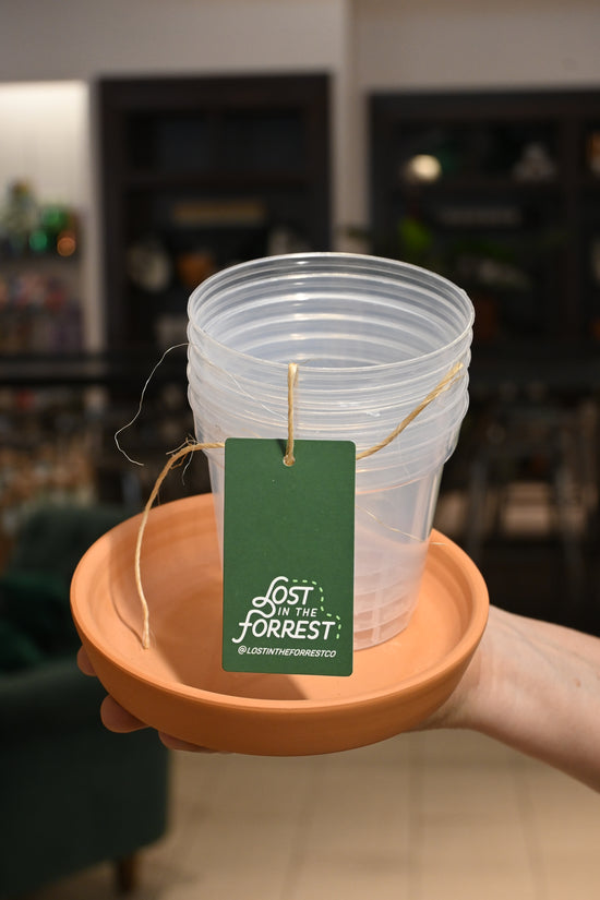 Clear Nursery Pots