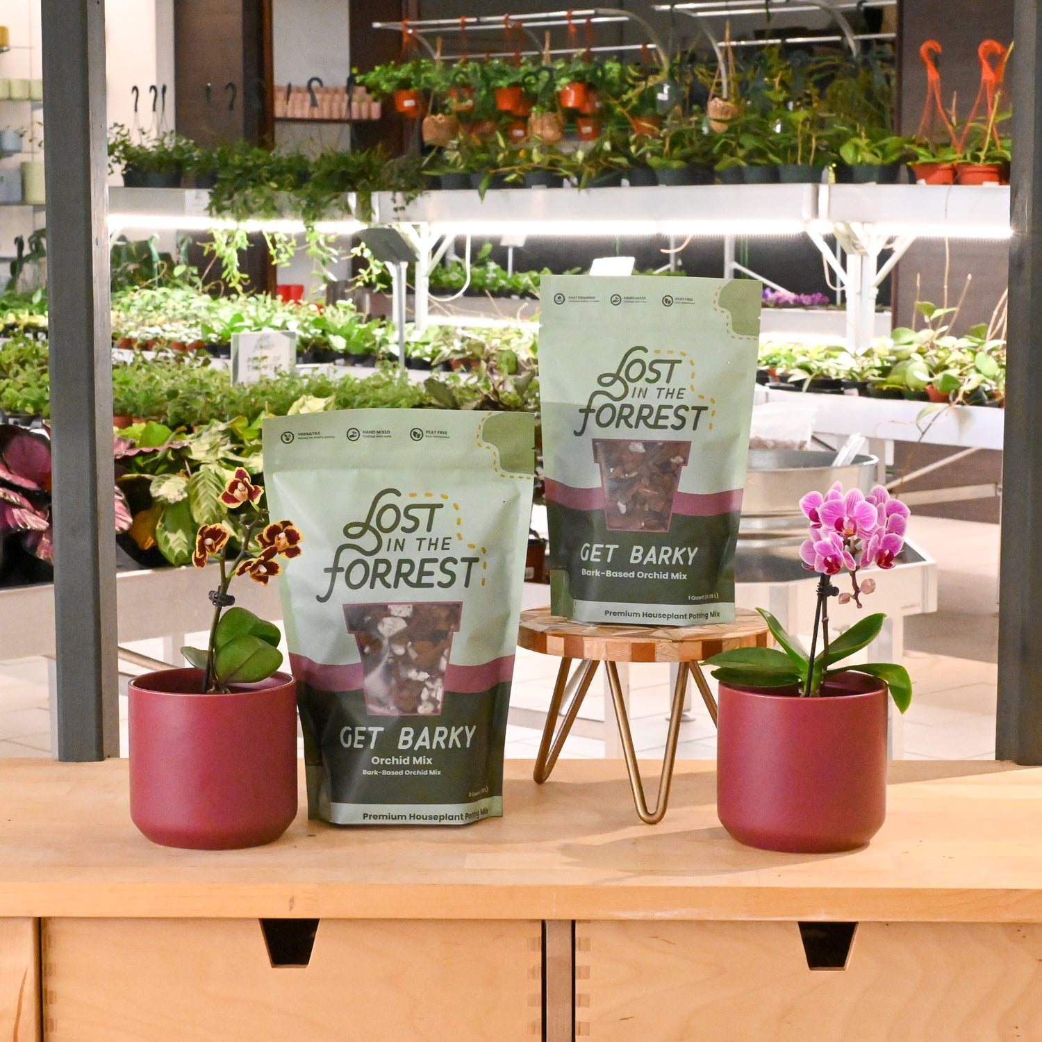 Get Barky | Bark-Based Orchid Mix