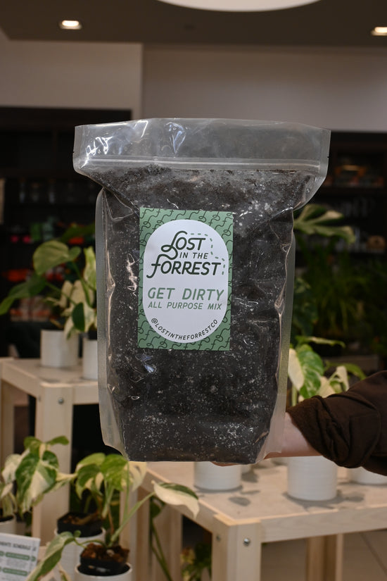 LITF Get Dirty Potting Mix