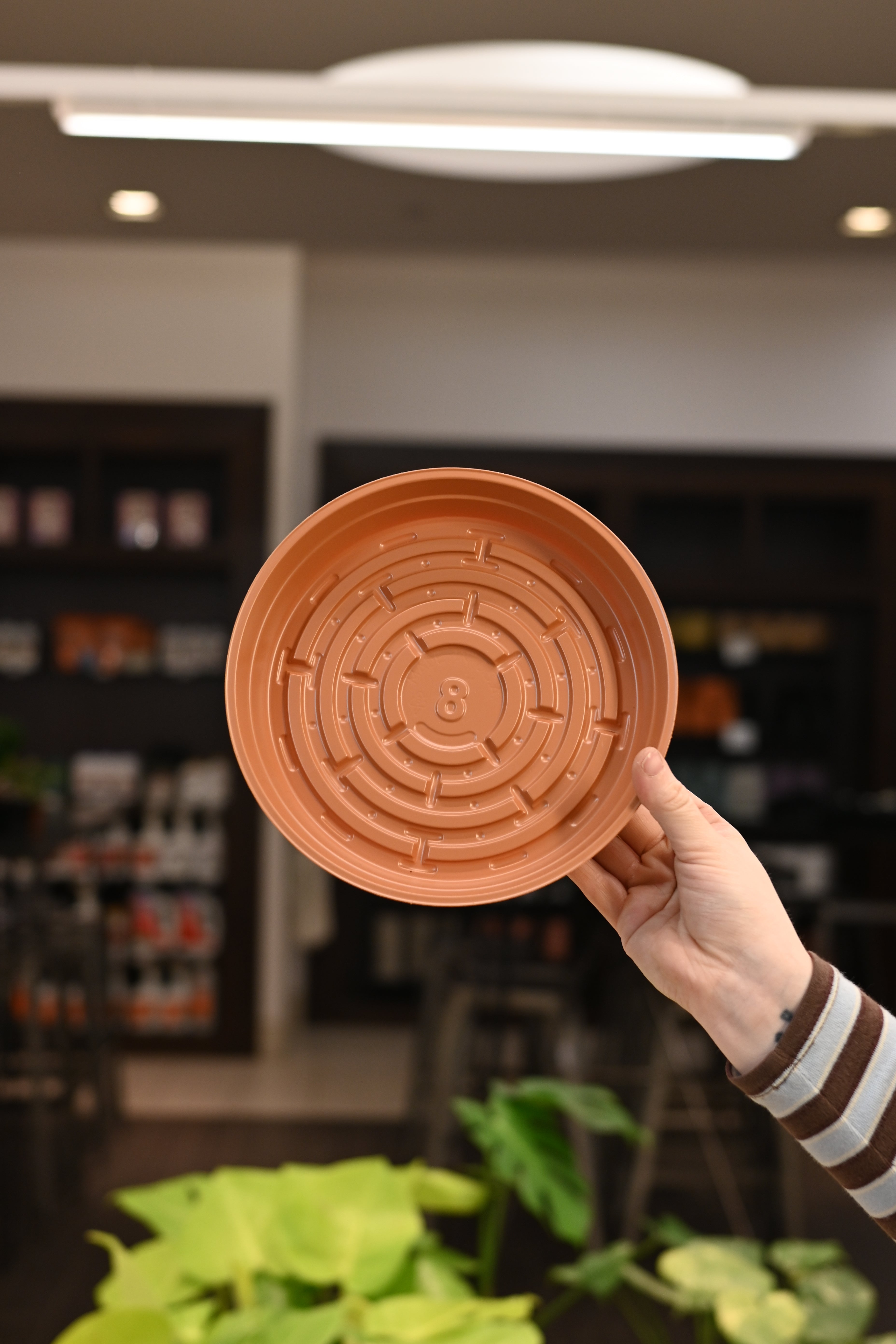 Terracotta Plastic Saucer