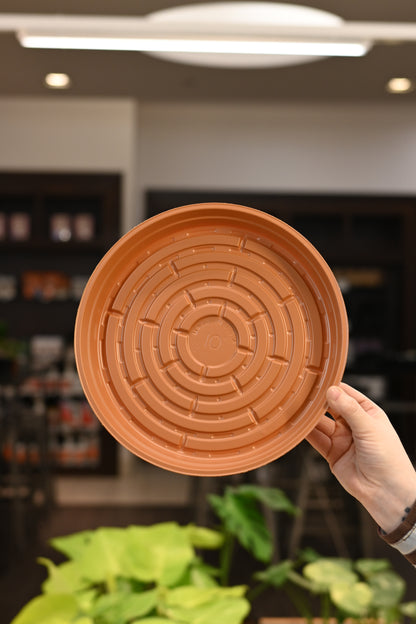 Terracotta Plastic Saucer