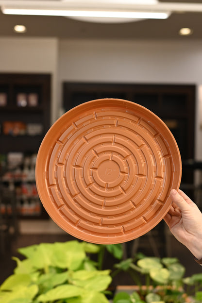 Terracotta Plastic Saucer