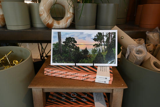 Mural Print