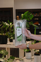 Glassvine Hoop