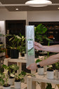 Glassvine Support