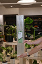 Glassvine Support