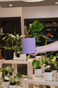 Gordon Pot