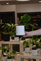 Gordon Pot