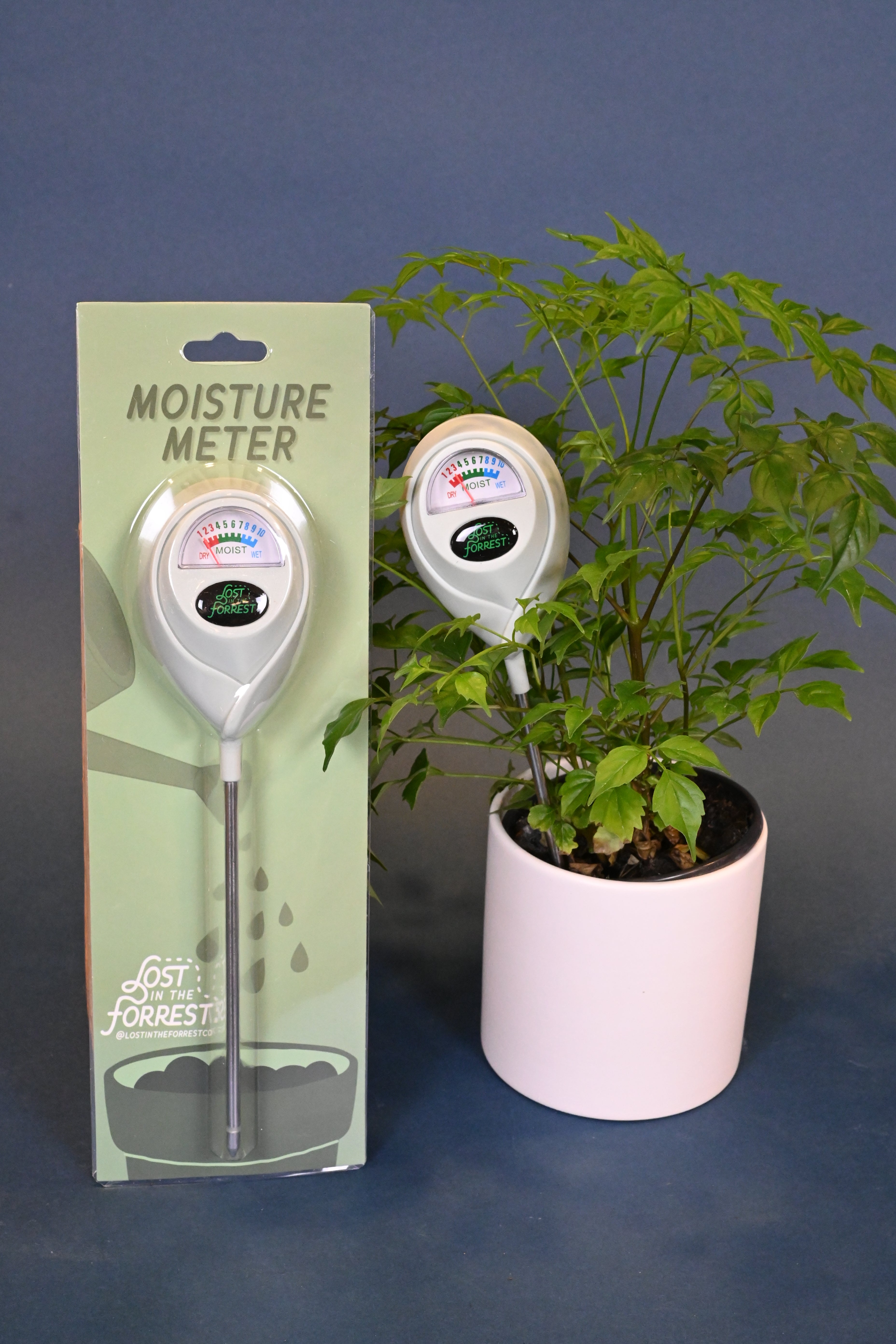 Moisture Meter