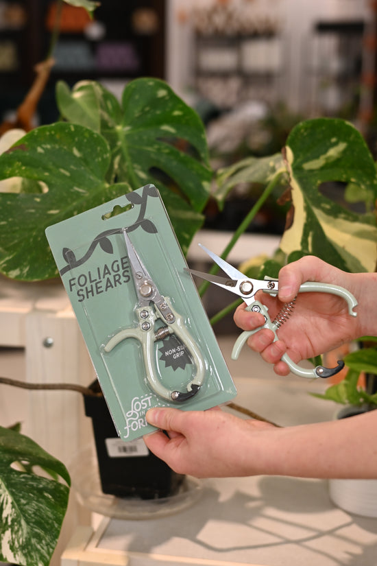 LITF Foliage Shears