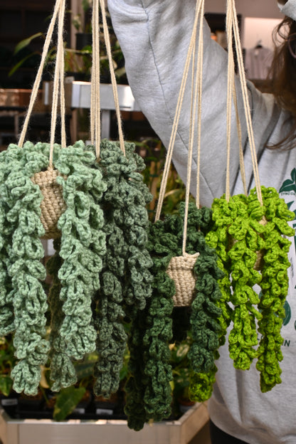 crochet hanging potted plant Hanging Crochet Plant – Lost in the Forrest