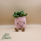 Potted Succulent Plush