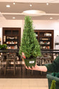 Rosemary