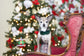 Pet Photography Mini Sessions - December 1st