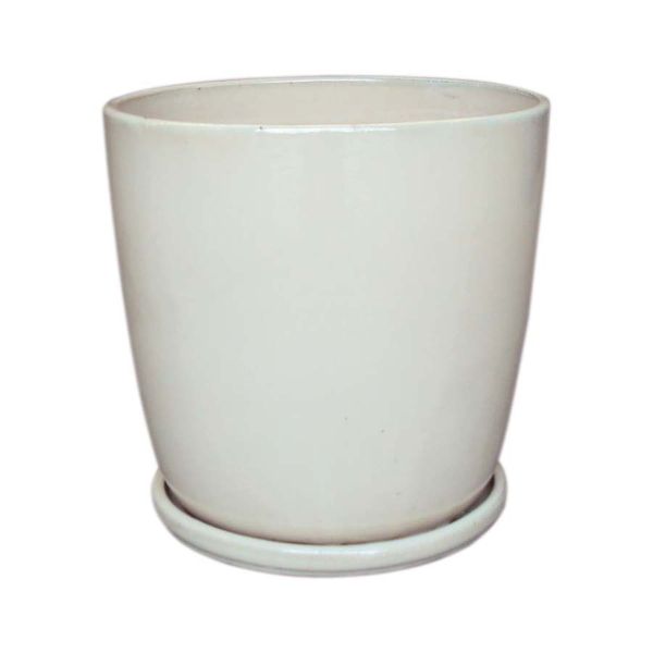 Egg Pot