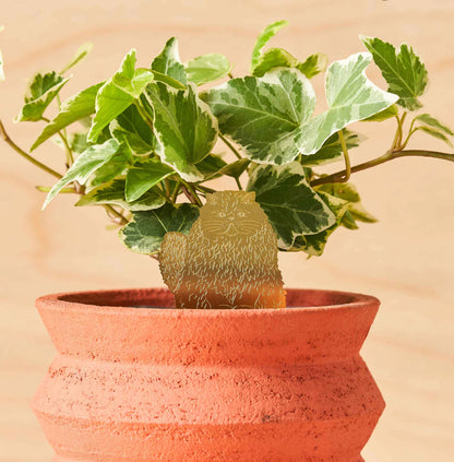 Plant Animal Decoration