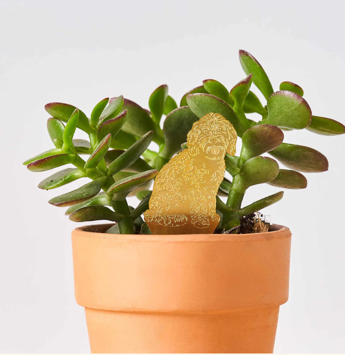 Plant Animal Decoration