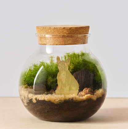 Plant Animal Decoration