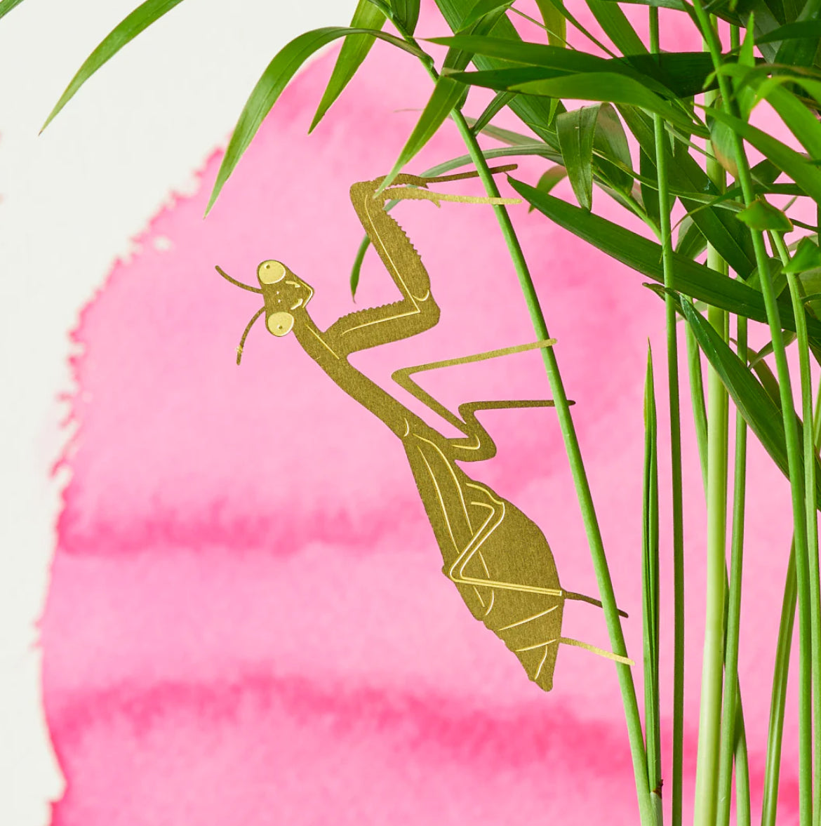 Plant Animal Decoration